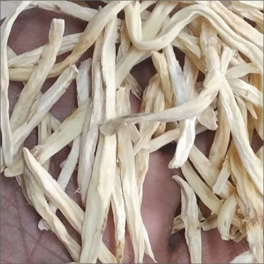 सफेद मूसली